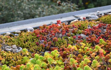 the cost of South Hole green roof installation